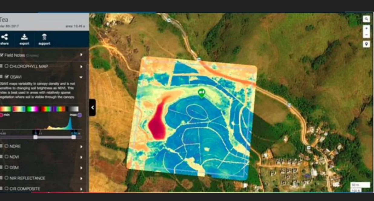 Multispectral NDVI orthomosaic from agri-survey deployment
